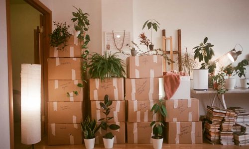 Umzüge Hannover Blitzschnell Service